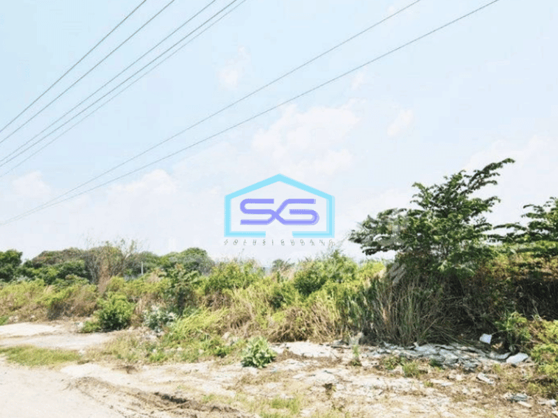 Disewakan Gudang di Lingkar Kaliwungu, Kendal Luas Tanah 9985m2