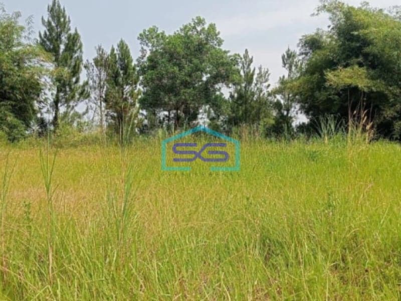 Dijual Tanah KP Wangun Depok Desa Karang Tengah Babakan Madang Bogor LT 10000m2