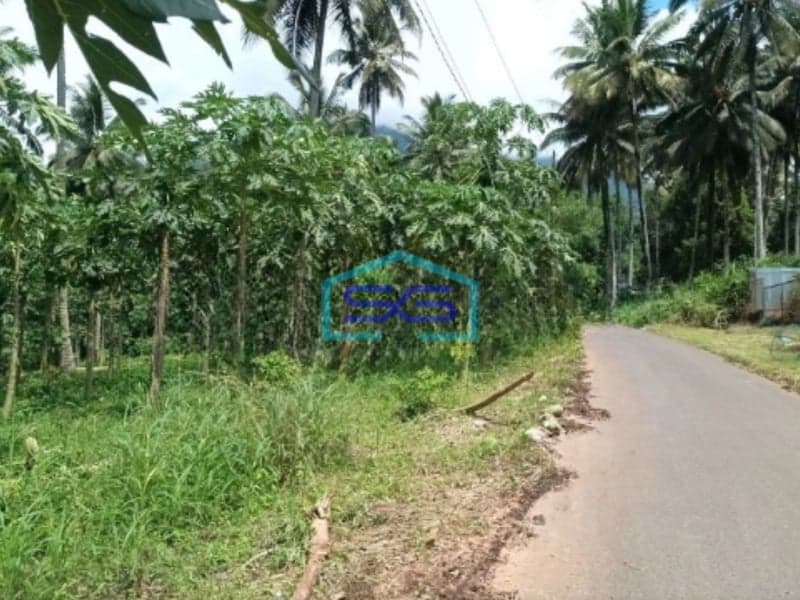 Dijual Tanah Di Jl Raya Manado Bitung Desa Kaima Pas Buat Pergudangan Airmadidi, Minahasa Utara Luas Tanah 110000 m²