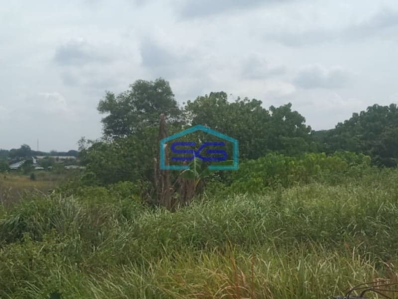 Dijual Tanah di Jalan Talang Kelapa Palembang Lokasi Mudah Dijangkau LT 3100m2