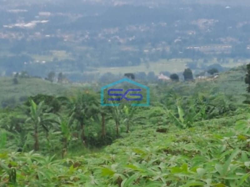 Dijual Tanah Di Sentul Citeureup Bogor Luas Tanah 105 Hektar