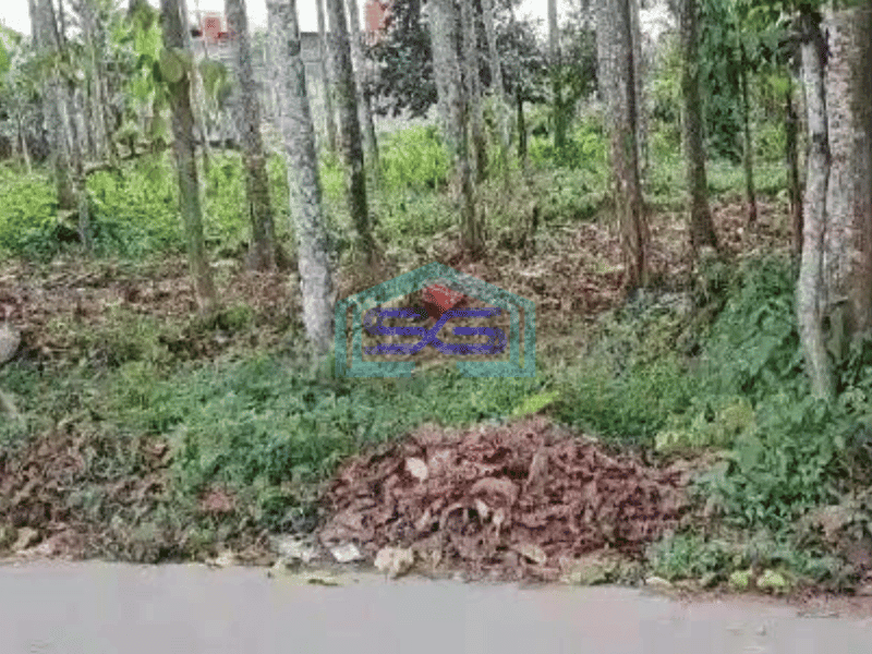 Dijual Tanah Cocok Untuk Gudang di Serdang Wetan