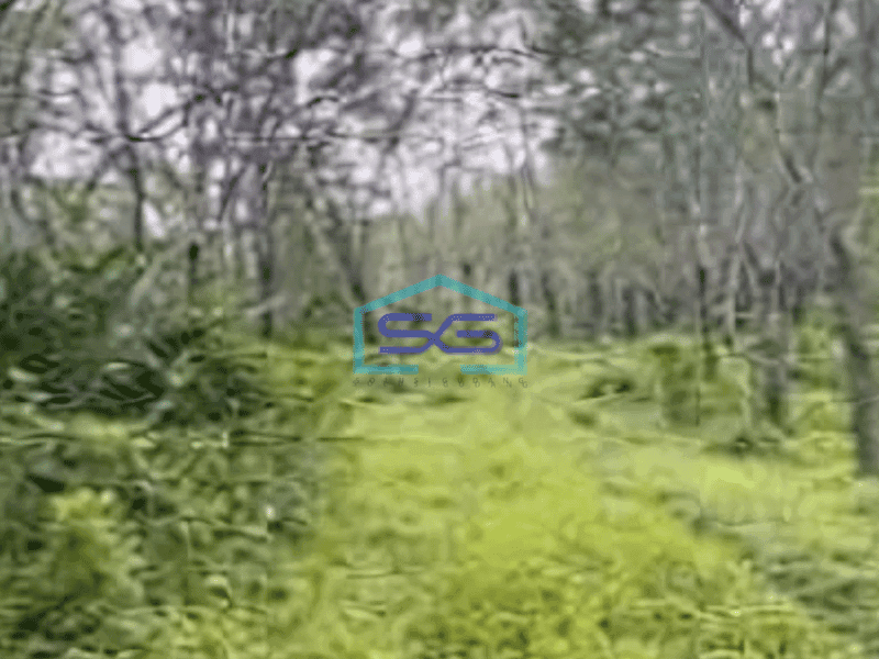 Dijual Tanah Luas 200 Ha Lokasi di Ciamis Jawa Barat