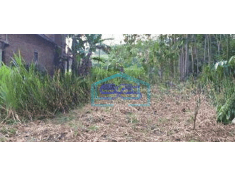 Dijual Tanah Shm Tirtomoyo Malang Jawa Timur