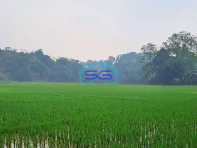 Dijual Tanah di Sukasari Rumpin Bogor Luas Tanah 1700m2