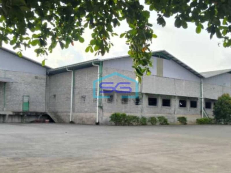 Dijual Pabtik Pengolahan Kayu Masih Aktif Di Batang