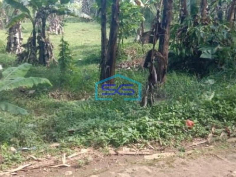 Dijual Tanah Darat di Cidahu Sukabumi Luas 9000m2
