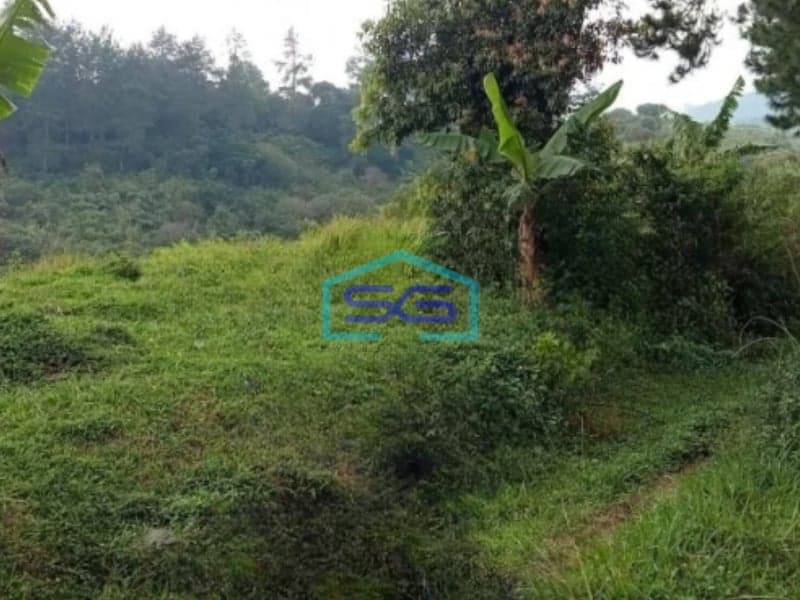 Dijual Tanah di Daerah Cidahu Sukabumi Luas Tanah 15000m2