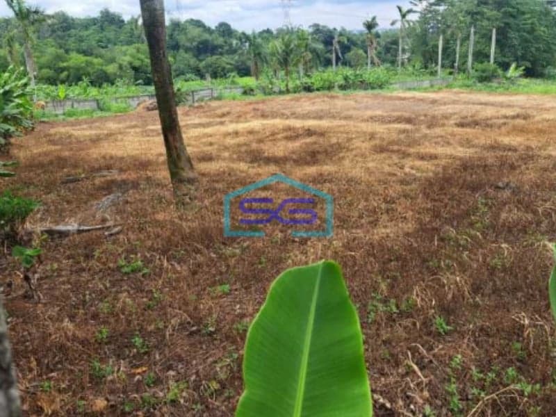 Dijual Tanah Dalam Kawasan Industri di Citeureup Bogor LT 30000m2