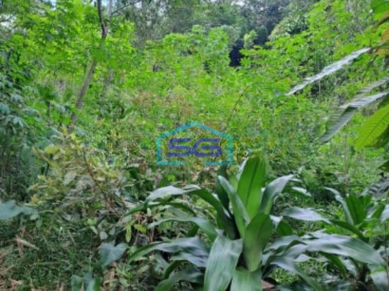 Dijual Tanah di Desa Rabak Rumpin Bogor Jawa Barat Luas Tanah 20000m2