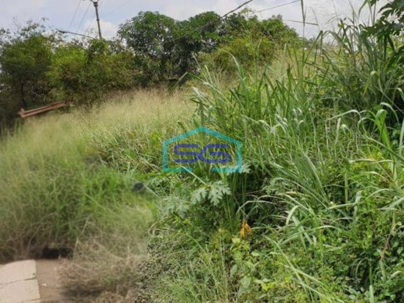 Dijual Tanah di Gunung Sindur Bogor Dipinggir Jalan Raya Luas 3500m2 Lokasi Strategis