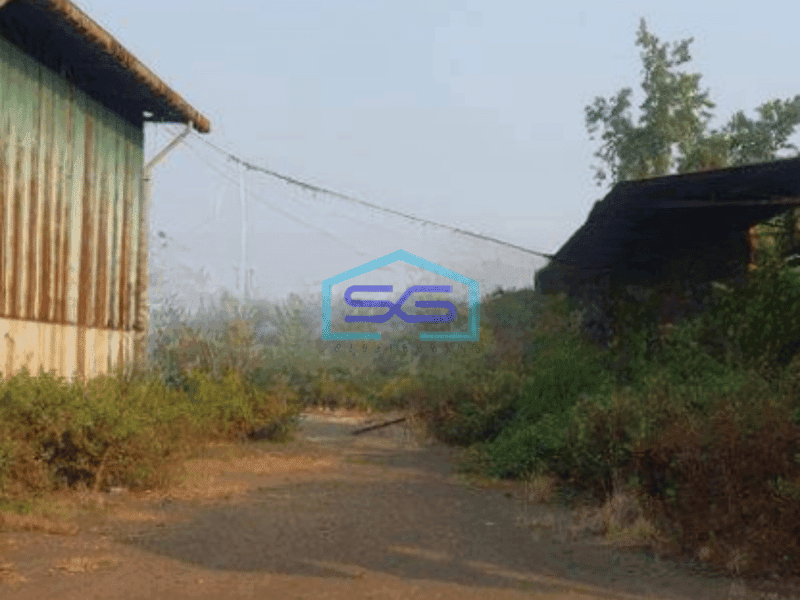 Dijual Gudang Zona Industri Di Kapuk Jakarta Utara LT 9725m2