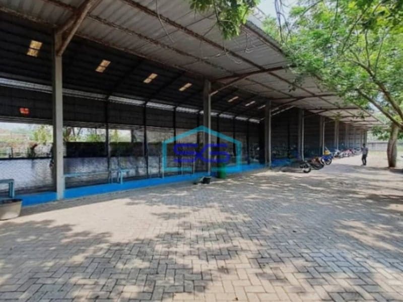 Dijual Tanah Bonus Gudang Luas Tanah 4991m2 Kapas Bojonegoro Jawa Timur