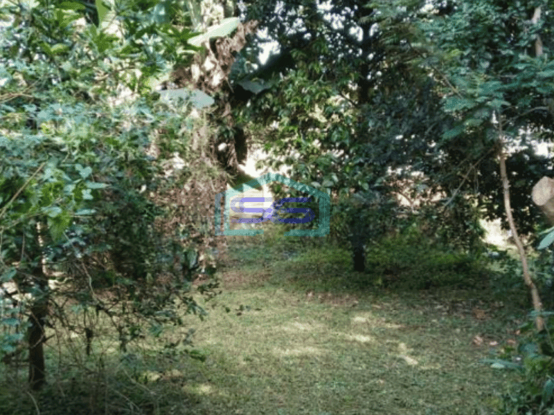 Disewakan Tanah Ciumbuleuit Kavling Dengan Kebun Didepan Unpar