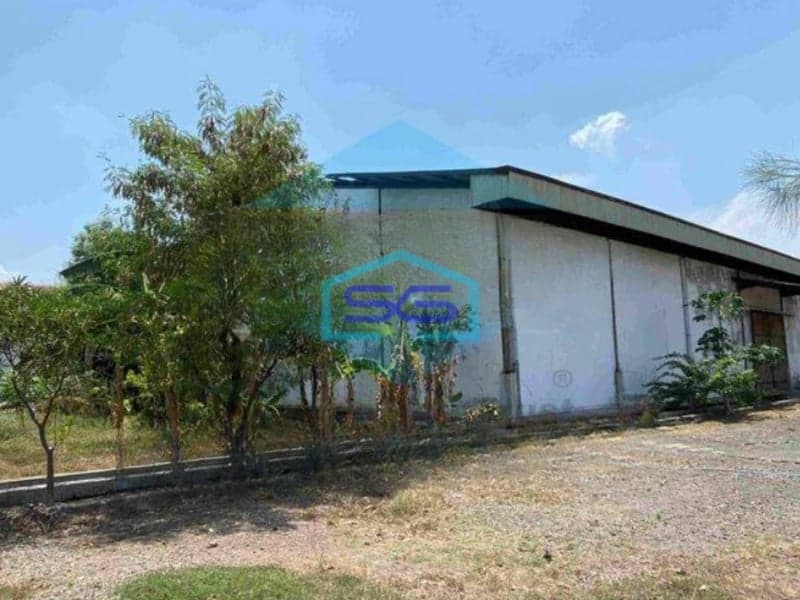 Disewakan Cepat Gudang Siap Pakai Lokasi Pergudangan Jalan Raya Trowulan Mojokerto LT 12000m2