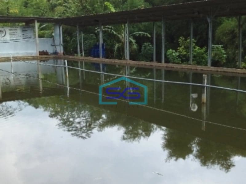 Dijual Ruang Usaha Tempat Pemancingan Dan Tempat Wisata Di Pudak Payung Semarang