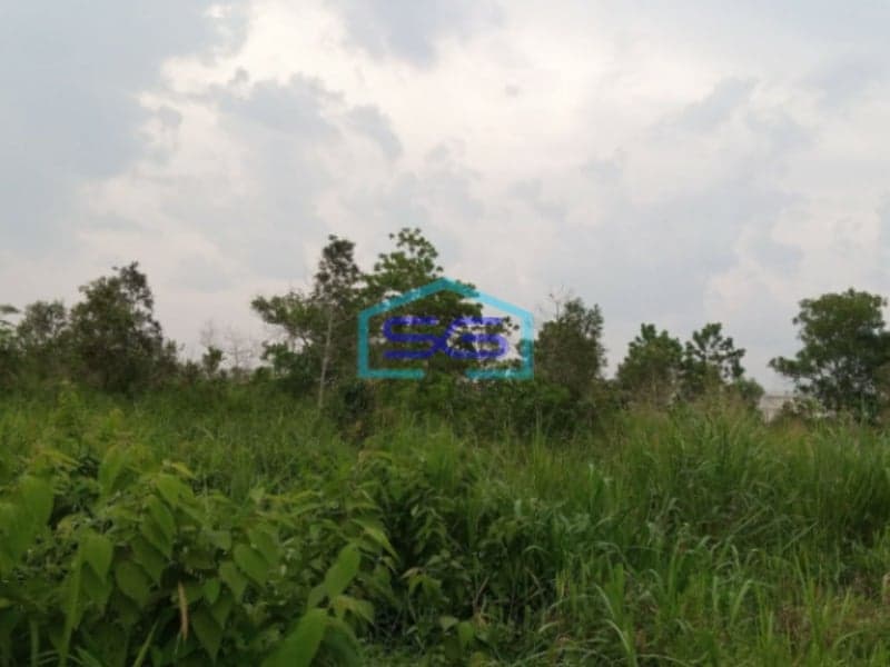 Dijual Tanah 13 Ha Pinggir Jalan Tanjung Api Api Talang Kelapa Gasing Banyuasin Sumatera Selatan