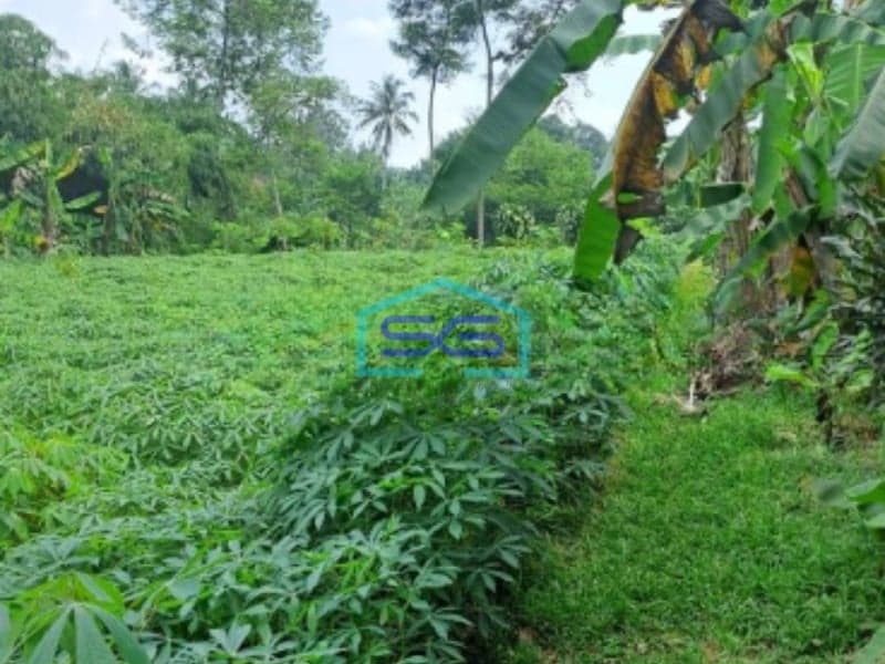 Dijual Tanah Di Kemang Bogor Luas Tanah 15000m2 Lokasi Bagus