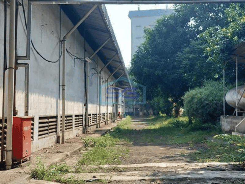 Disewakan Ex pabrik di Cikupa dekat dengan tol bitung posisi pinggir jalan raya