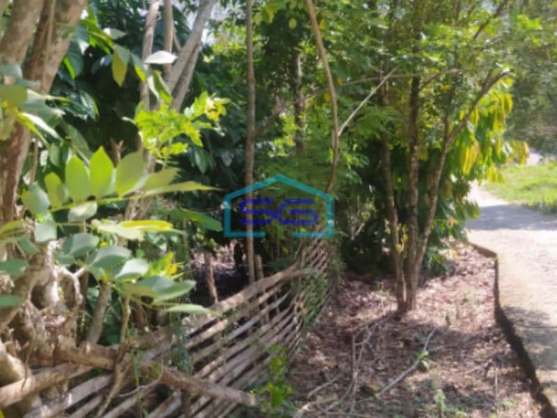 Dijual Tanah Strategis di Pinggir Jalan Lahat Sumatera Selatan Luas Tanah 12651m2