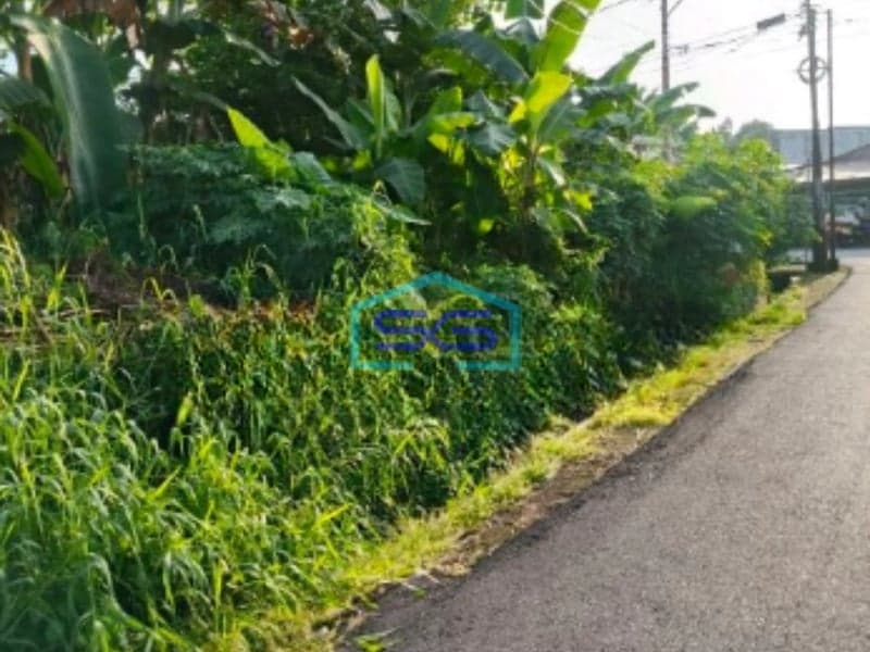 DIjual Tanah Di Malalayang Dekat Ring Road 3 Manado Luas Tanah (PxL)  20000 m²