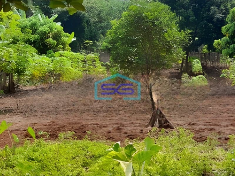 Dijual Tanah Siap Bangun Shm Luas 1480m² Di Gondoriyo Ngaliyan Semarang Barat