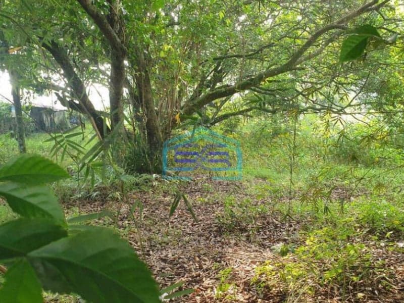 Dijual Tanah SHM 8 Hektar di Jalan Raya Parung Bogor CocoK Untuk Pergudangan