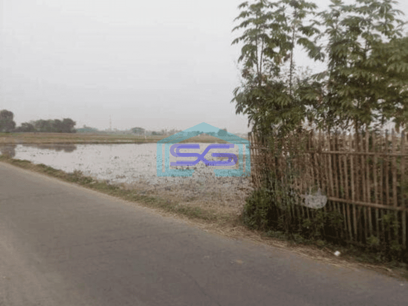 Dijual Tanah Untuk Gudang di Kawasan Rajeg Tangerang