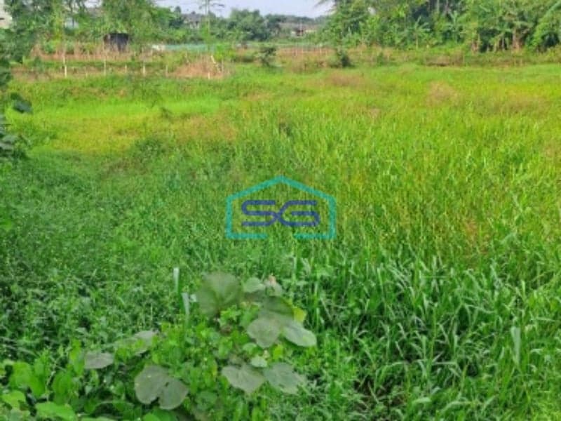 Dijual Tanah Di Kemang Bogor Luas Tanah 13000m2