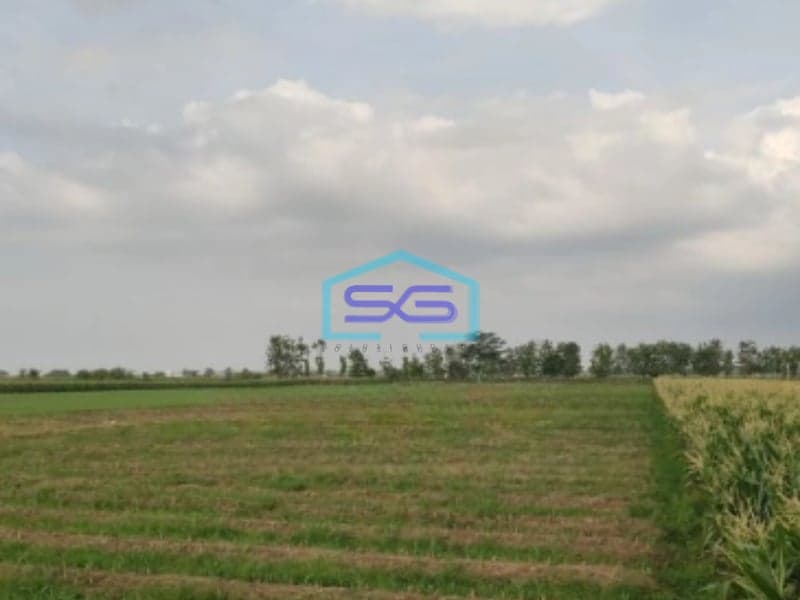 Dijual Tanah SHM Luas Tanah 48000m² Lokasi di Ciledug Cirebon Timur