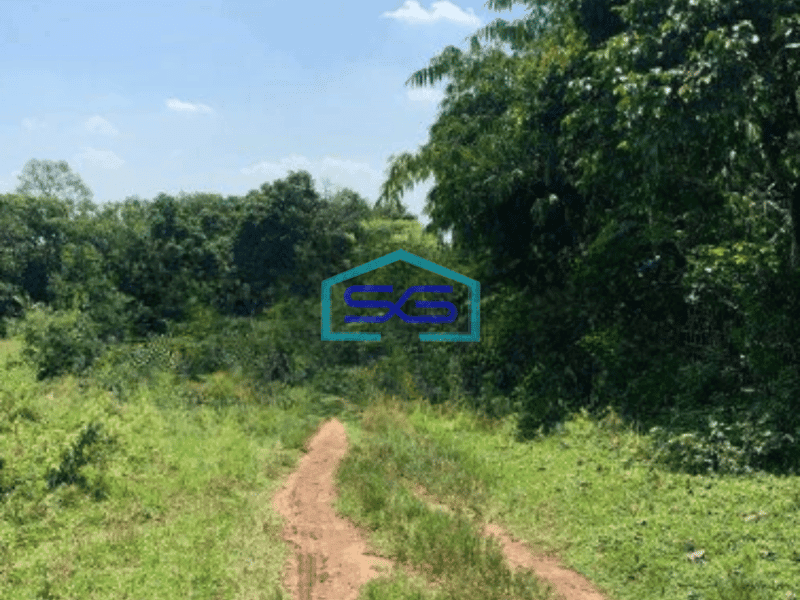 Dijual Tanah Luas  9013 m² di Cikeusal Serang Banten