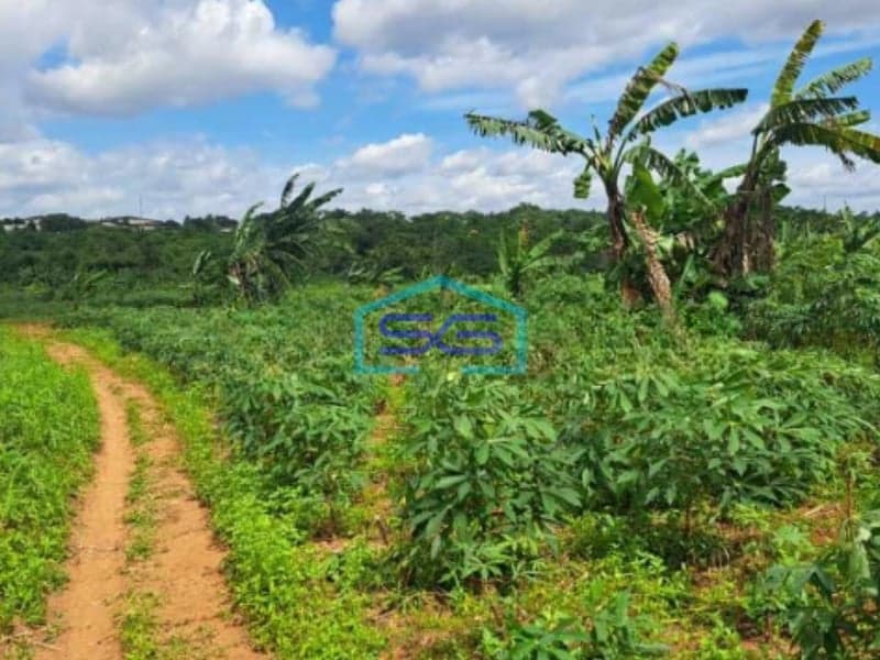 Dijual Tanah Di Kawasan Industri Citeureup Bogor Jawa Barat LT 86000m2