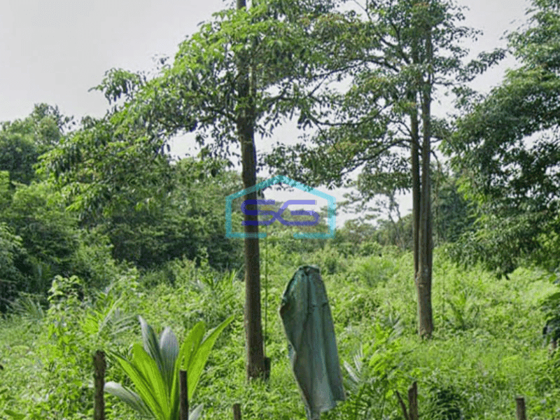 Dijual Tanah Strategis Siap Bangun di Pinggir Jalan Raya Lingkis Rambutan, Jejawi Sumatera Selatan Luas 20000m2