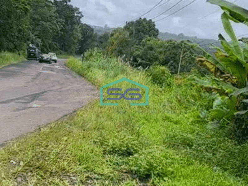 Dijual Tanah Lokasi Strategis di Malingping Gunung Kencana Lebak Banten LT 10136m2