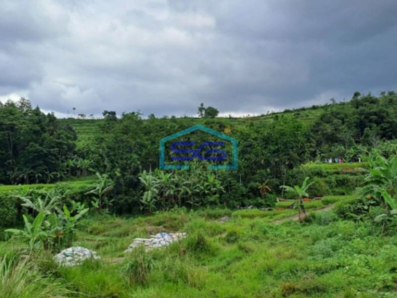 Dijual Tanah Darat Lokasi di Cigombong Bogor Luas Tanah 4 Hektar