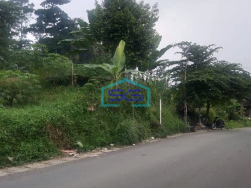 Dijual Tanah Strategis di Desa Pancawati Caringin Bogor LT 40000m2 Cocok Untuk Usaha