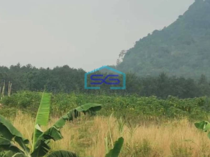 Dijual Tanah Kavling Sentul City Dekat Jungle Land Sentul Bogor Luas Tanah  40000 m²