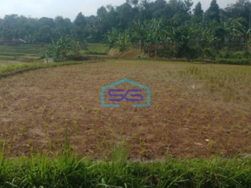 Dijual Tanah Bagus Datar di Tengah Pancawati Caringin Bogor Jawa Barat  LT 1500m2