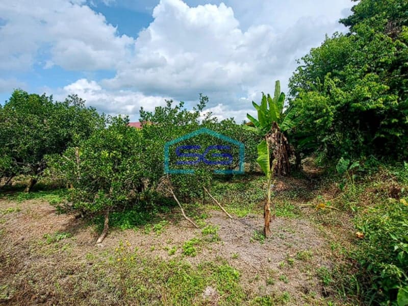 Dijual Tanah Murah Strategis Siap Bangun di Talang Jambe, Palembang