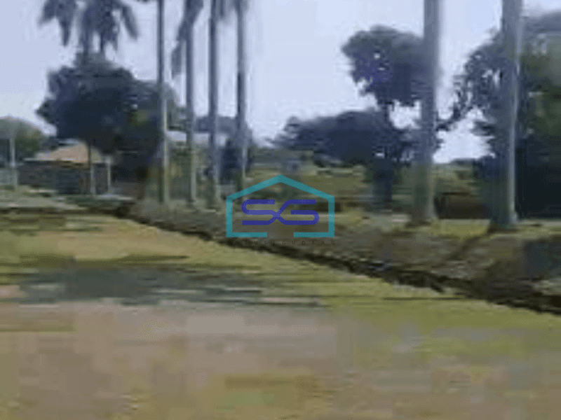 Disewa Gudang Luas Tanah Dan Bangunan 40 Feet  di Bogor