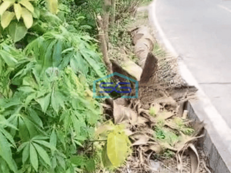 Dijual Tanah Teluk Naga Tangerang Padat Pinggir Jalan Raya Akses Kontainer 40 Feet LT 4265m2