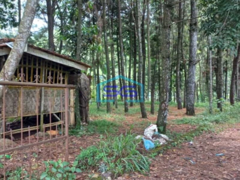 Dijual Tanah Kavling Dekat Jalan Raya Panca Kota Sukabumi Luas Tanah 25000m2