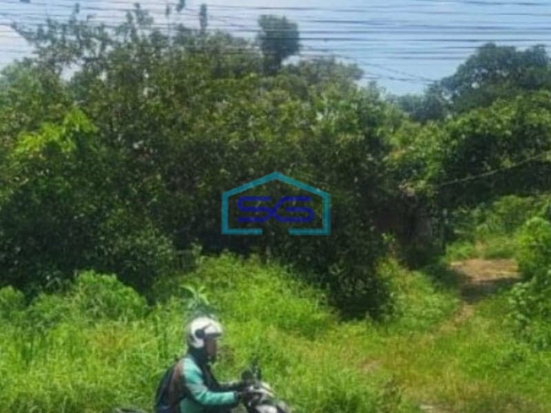 Dijual Tanah Luas  6000 m² Lokasi Bogor Jawa Barat