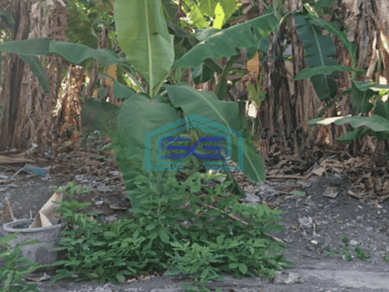 Dijual Tanah di Tenggilis Mejoyo Surabaya