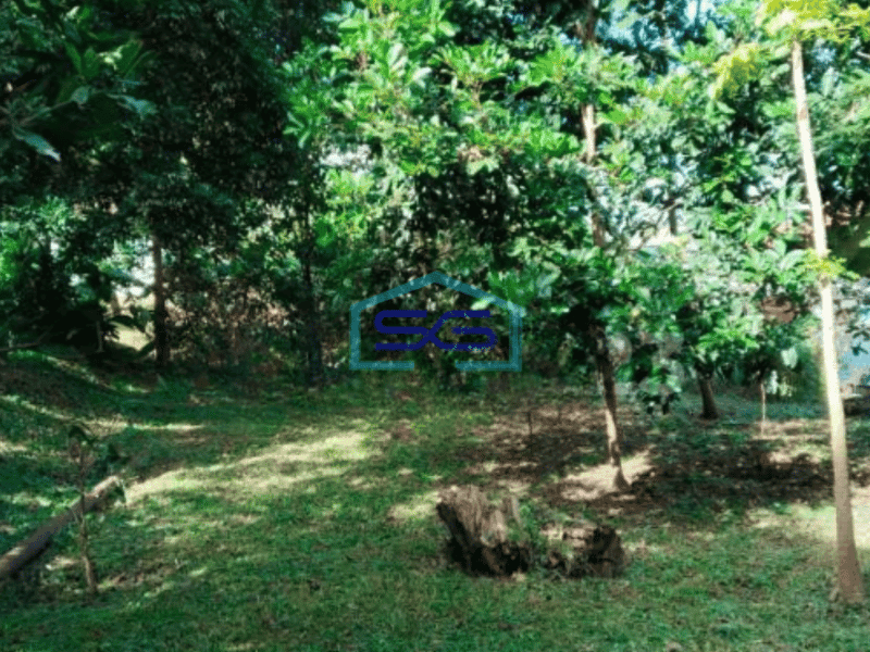 Disewakan Tanah Ciumbuleuit Kavling Dengan Kebun Didepan Unpar
