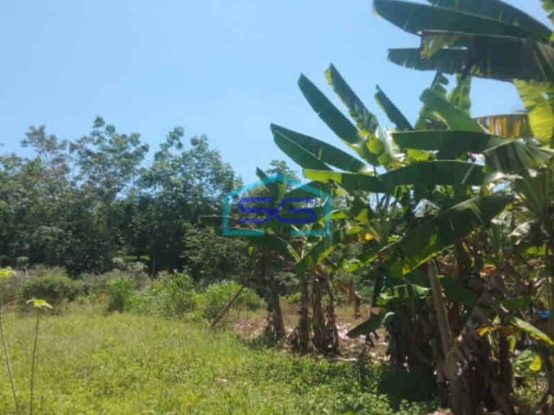 Dijual Tanah Strategis di Palembang Sumatera Selatan Luas 50000m2