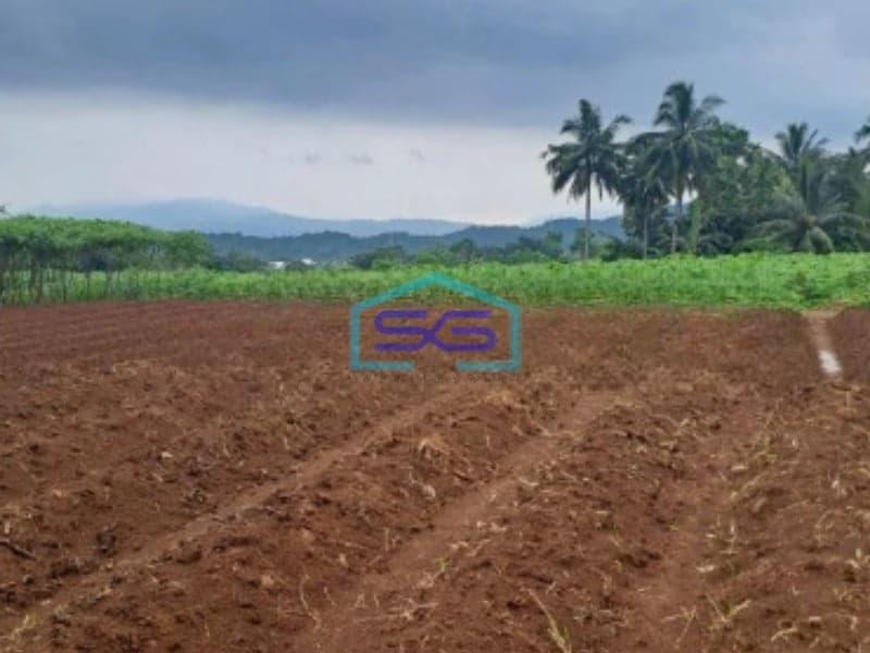 Dijual Tanah di Ci Bening Pamijahan Bogor Luas Tanah 72000m2