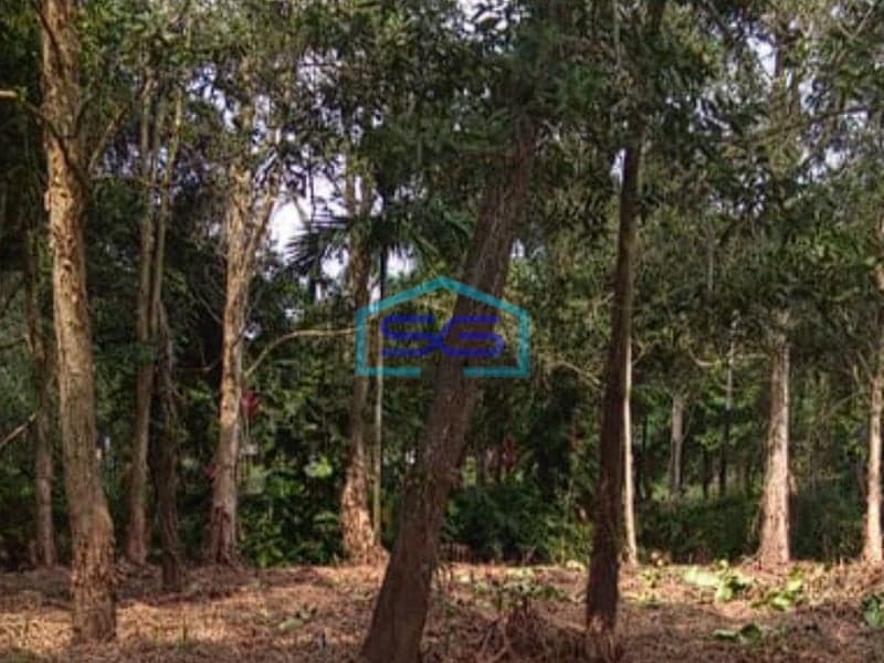 Dijual Tanah Murah di Jalan Pesona Sematang Borang Palembang LT 1100m2