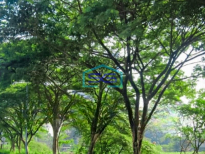 Disewakan Tanah Luas  2970 m² Lokasi Bebas Banjir di Jakarta Barat