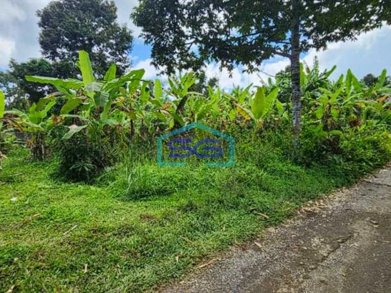 Dijual Tanah Dekat Como Shambhala Ubud Bali Luas Tanah 8900m2